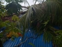 Diterpa Angin Kencang, Pohon Sukun Ambruk Timpa Rumah Warga di Desa Penaah