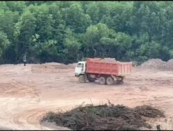 Dugaan Perusakan Puluhan Hektar Mangrove: Proyek Cut and Fill di Dekat Sunny Bay Piayu Batam Disorot