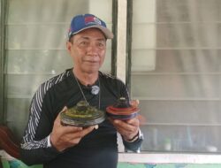 ‎Kesunyian Sang Raja Gasing Batam