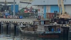 Bakau di Kepulauan Meranti di Babat Secara Ileggal Ribuan Batang di Jual ke Singapura  Setiap Minggu