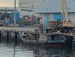 Bakau di Kepulauan Meranti di Babat Secara Ileggal Ribuan Batang di Jual ke Singapura  Setiap Minggu