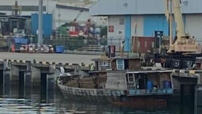 Bakau di Kepulauan Meranti di Babat Secara Ileggal Ribuan Batang di Jual ke Singapura  Setiap Minggu