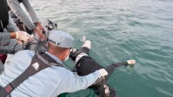 Mayat Pria Tanpa Identitas di Temukan Terapung di Perairan Piayu