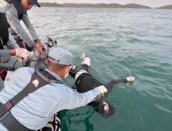 Mayat Pria Tanpa Identitas di Temukan Terapung di Perairan Piayu