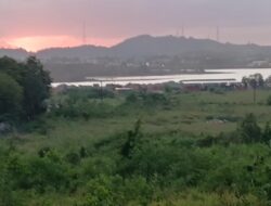 Aktifitas Reklamasi di Tanjung Uma Menggila PT SUG di Duga Timbuan Hutan Bakau