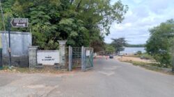 Bawang “Diekspor” dari Tanjungpinang, Padahal Bukan Daerah Penghasil: Dari Mana Asalnya