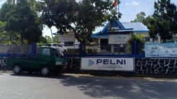 Jejak Penelusuran Export Bawang di Tanjungpinang