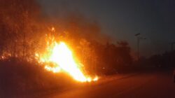 Minim Air, Tim Damkar Kesulitan Padamkan Kobaran Api pada Sejumlah Titik di Bintan