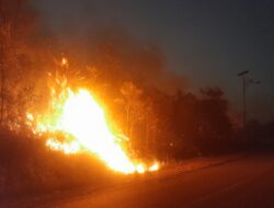 Minim Air, Tim Damkar Kesulitan Padamkan Kobaran Api pada Sejumlah Titik di Bintan