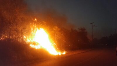 Minim Air, Tim Damkar Kesulitan Padamkan Kobaran Api pada Sejumlah Titik di Bintan