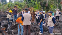 Lahan Sagu Warga Terdampak, PT CSA Ngaku Tak Sengaja, Pemda Minta Stop Land Clearing