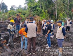 Lahan Sagu Warga Terdampak, PT CSA Ngaku Tak Sengaja, Pemda Minta Stop Land Clearing