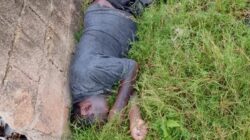 Warga Temukan Jasad Pria tak Beridentitas di TPS Pasar Induk Baru Tanjung Uma Batam