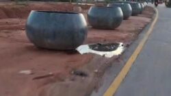 ‎ ‎Pot Bougenville BP Batam Makan Jalan, Dinilai Bahayakan Pengendara