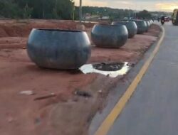 ‎ ‎Pot Bougenville BP Batam Makan Jalan, Dinilai Bahayakan Pengendara