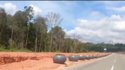 BP Batam Pindahkan Pot Boungenville di Bundaran Punggur Usai Dikritisi Masyarakat