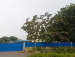 PT Tanpa Plang Nama Diduga Timbun Limbah PCB di Belakang Edukit Sei Panas