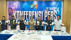 Polda Kepri Gagalkan Penyelundupan 100.000 Lebih Benur Senilai Rp10 Miliar