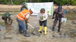 Aksi Hijau Berkelanjutan KEK Tanjung Sauh: PT Batamraya Sukses Perkasa Kembali Tanam 1.000 Bibit Mangrove