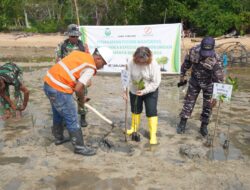 Aksi Hijau Berkelanjutan KEK Tanjung Sauh: PT Batamraya Sukses Perkasa Kembali Tanam 1.000 Bibit Mangrove