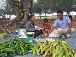 Pedagang Sayur di Pantai Piwang Natuna Harapkan Modal dan Tempat Usaha yang Layak