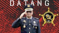 Bantah Tudingan Satgas, Bea Cukai Babel Sebut Muatan 15 Kontainer PT PMM Sudah Layak Ekspor