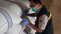Bebas OPTK, Sebanyak 188,7 Ton Cengkih Asal Natuna Dikirim ke Semarang untuk Kebutuhan Industri