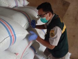 Bebas OPTK, Sebanyak 188,7 Ton Cengkih Asal Natuna Dikirim ke Semarang untuk Kebutuhan Industri