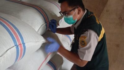 Bebas OPTK, Sebanyak 188,7 Ton Cengkih Asal Natuna Dikirim ke Semarang untuk Kebutuhan Industri