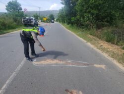 Kecelakaan Maut di Jalan Lintas Timur Bintan, Satu Pengendara Tewas dan Satu Luka Berat
