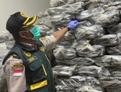 Ratusan Ton Ikan Natuna Kantongi Sertifikat Kesehatan, Siap Berlayar ke Jakarta