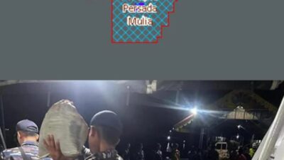 Usai TNI AL Ungkap Tambang Timah Ilegal, P2B Minta APH Telusuri Aktivitas PT CPM di Pekajang