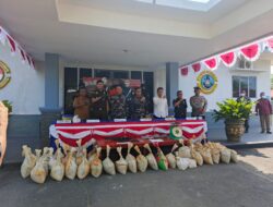 TNI AL Gagalkan Penyelundupan 1,6 Ton Pasir Timah Ilegal di Lingga, Disembunyikan di Bawah Kerambah untuk Diselundupkan ke Malaysia