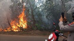 Kebakaran Lahan 600 Meter Persegi di Kampung Bugis, Diduga Dipicu Pembakaran Sampah