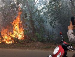 Kebakaran Lahan 600 Meter Persegi di Kampung Bugis, Diduga Dipicu Pembakaran Sampah
