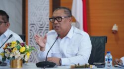 Wagub Kepri Bahas Rencana Pengembangan Energi Terbarukan di Pulau Sembur