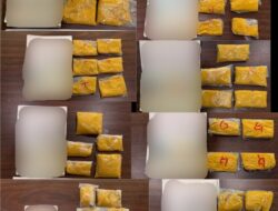 Bea Cukai Batam Gagalkan Penyelundupan 11,3 Kg Bubuk Emas Senilai Rp29,23 Miliar ke Singapura