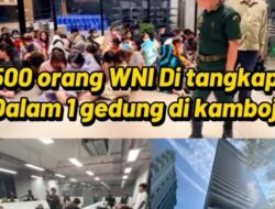 Penggerebekan Gedung 30 Lantai di Kamboja: Lebih dari 500 WNI Diduga Diamankan Terkait Jaringan Siber Ilegal