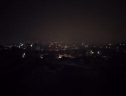 Batam Blockout Belasan Jam, Monyet Dituding Sebagai Pemicu